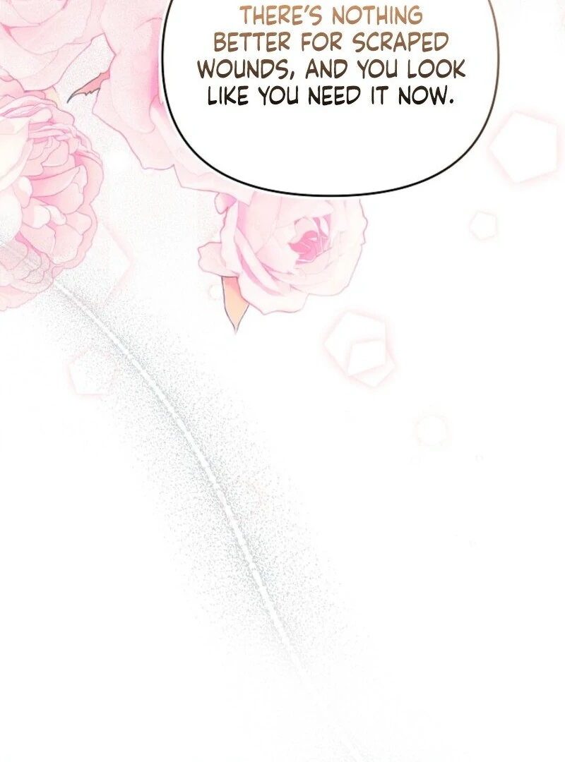 Divorce Plan chapter 64 page 131