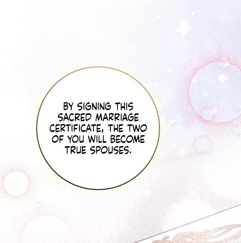 Divorce Plan chapter 66 page 69