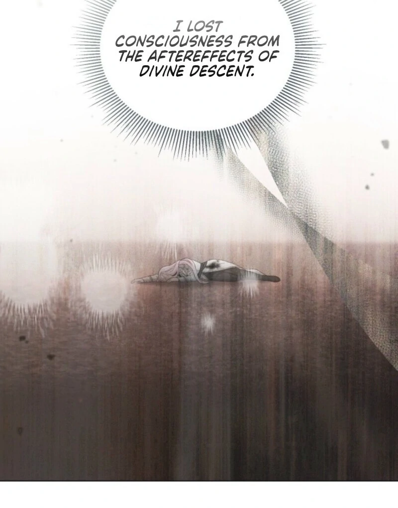 A Transmigrator’s Privilege chapter 106 page 13
