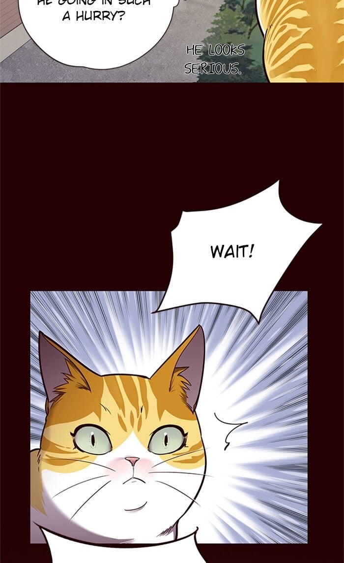 Eleceed chapter 52 page 40