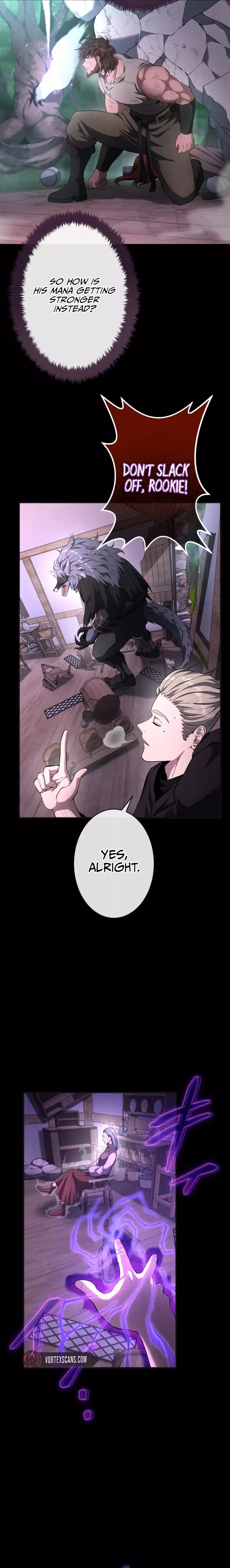 Regression of the Close Combat Mage chapter 36 page 17