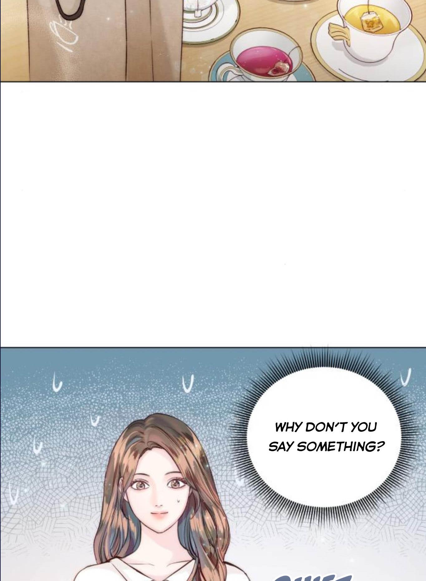 Surely a Happy Ending chapter 13.5 page 17