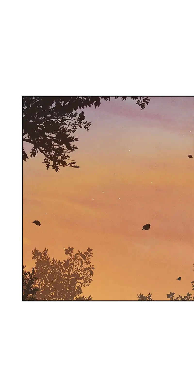 Under the Plum Blossom Tree chapter 61 page 4