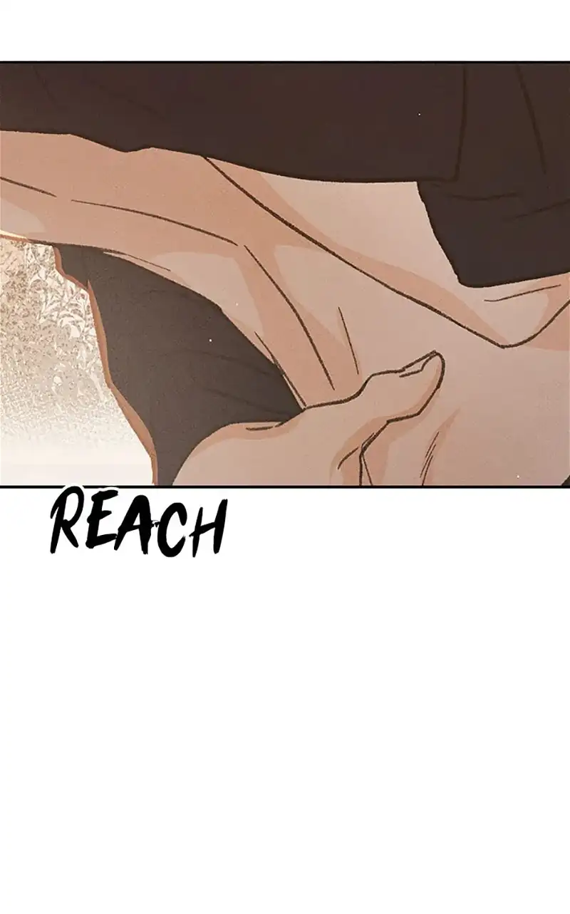 Under the Plum Blossom Tree chapter 61 page 15