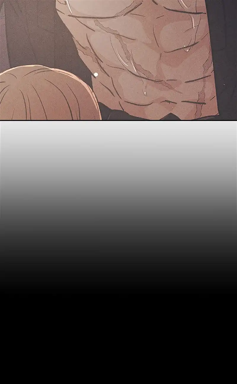 Under the Plum Blossom Tree chapter 61 page 50