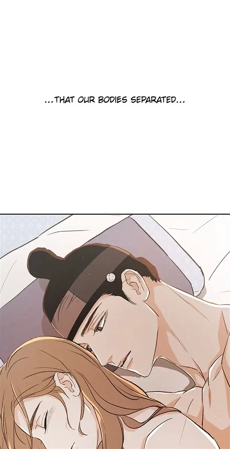 Under the Plum Blossom Tree chapter 62 page 19