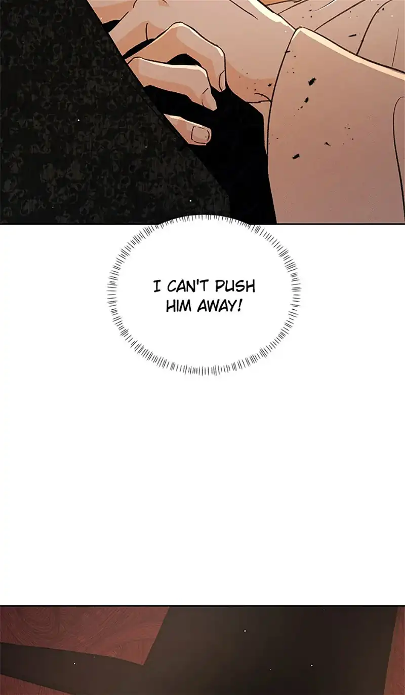 Under the Plum Blossom Tree chapter 66 page 14