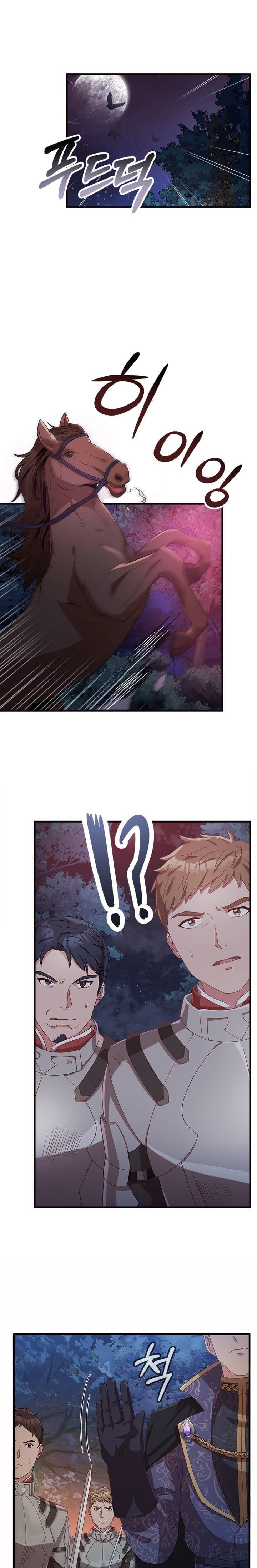 Why The King Needs A Secretary chapter 13 page 17