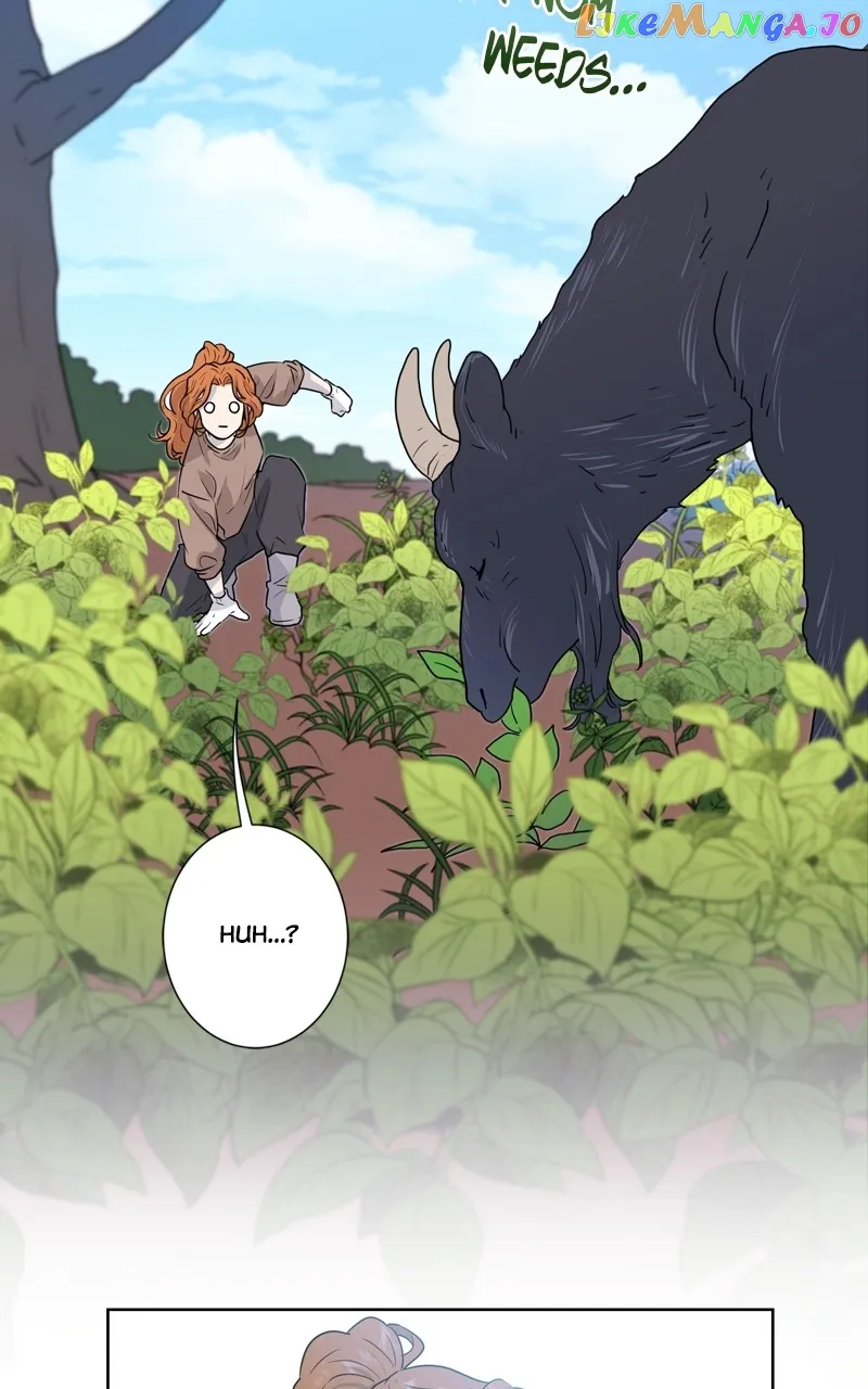 The Goddess’s Guide to Farming chapter 23 page 17