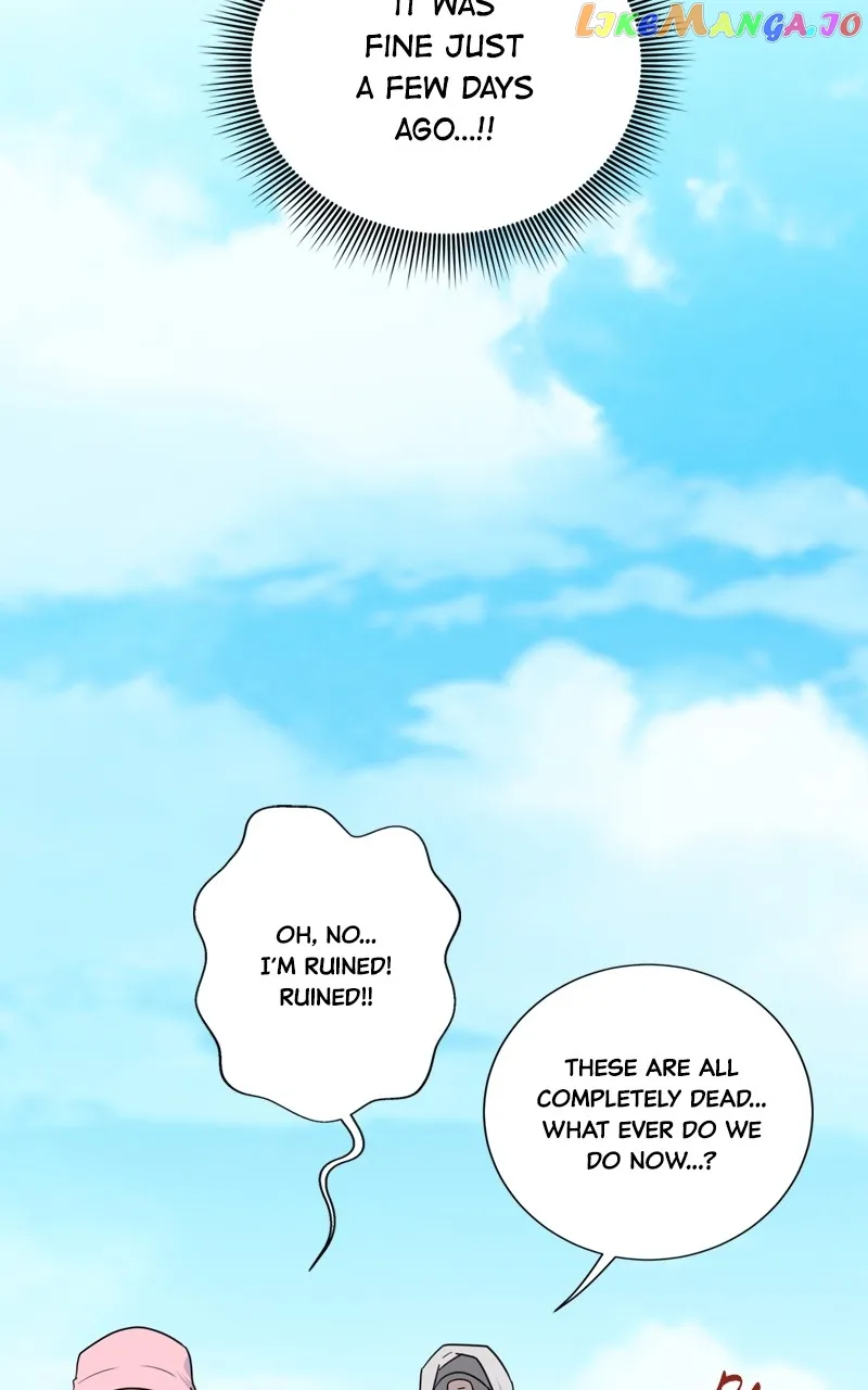 The Goddess’s Guide to Farming chapter 38 page 82