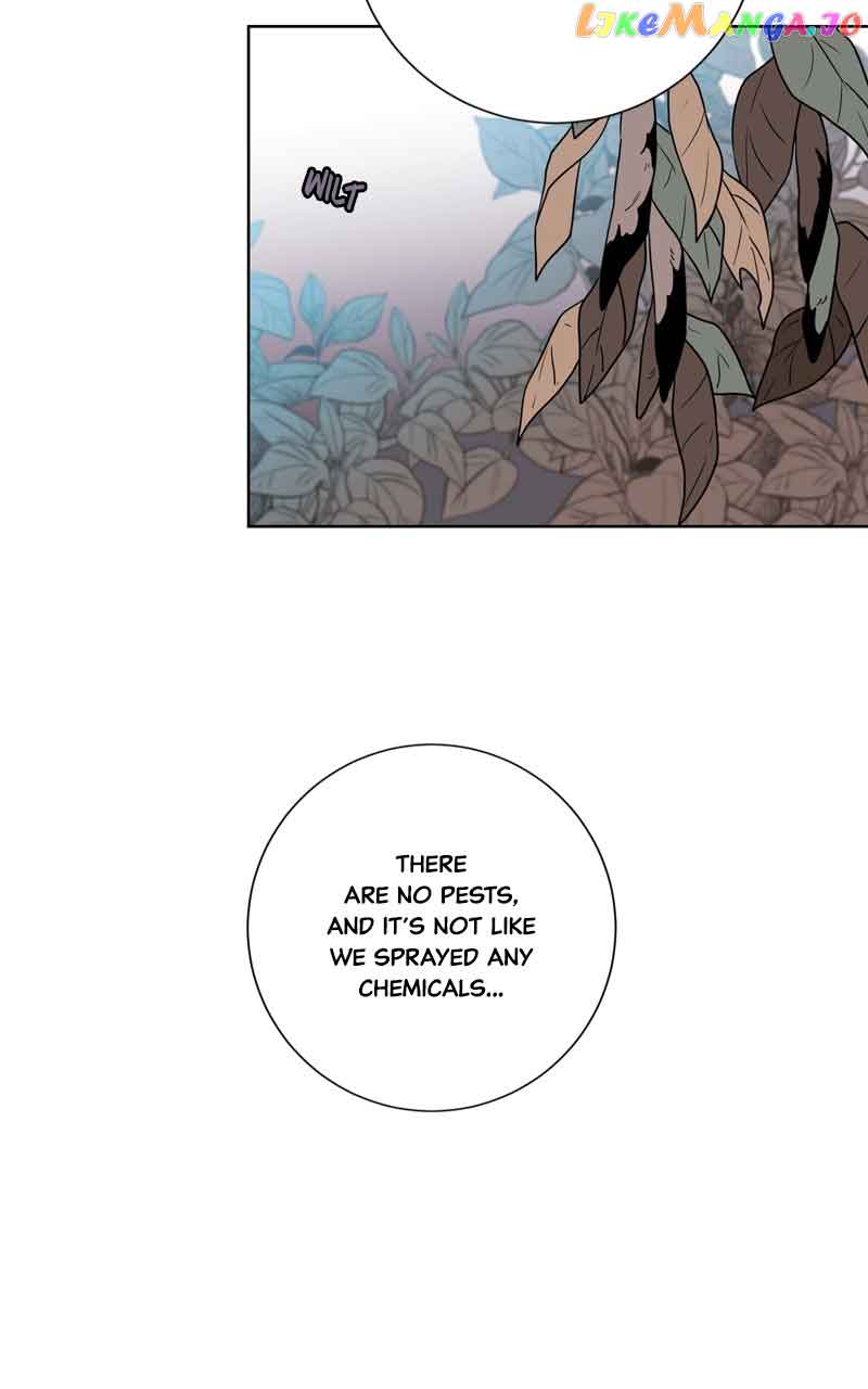 The Goddess’s Guide to Farming chapter 39 page 4