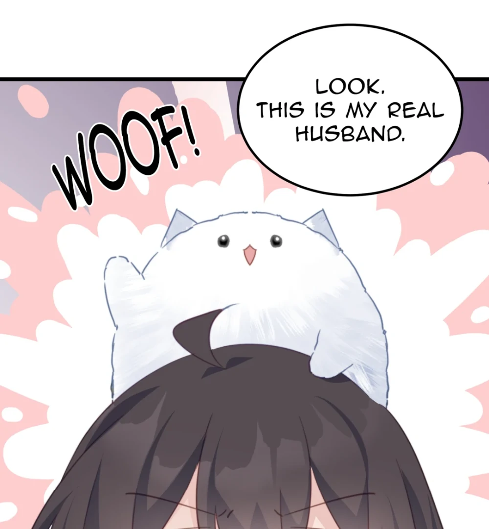 Pet the Little Princess chapter 112 page 6