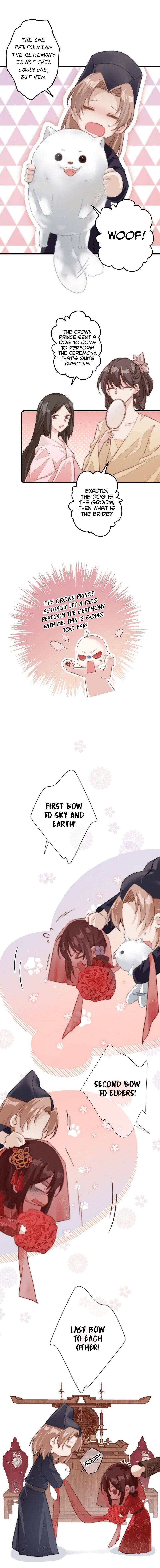 Pet the Little Princess chapter 4 page 7