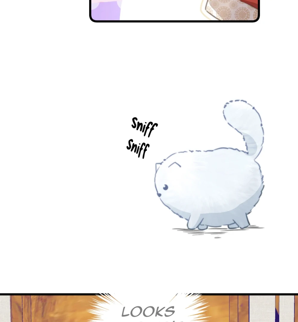 Pet the Little Princess chapter 90 page 20