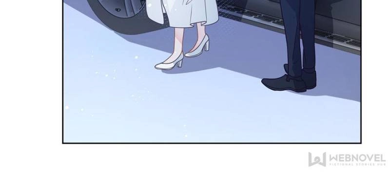 The Killer Boss is raising a Fox chapter 108 page 21