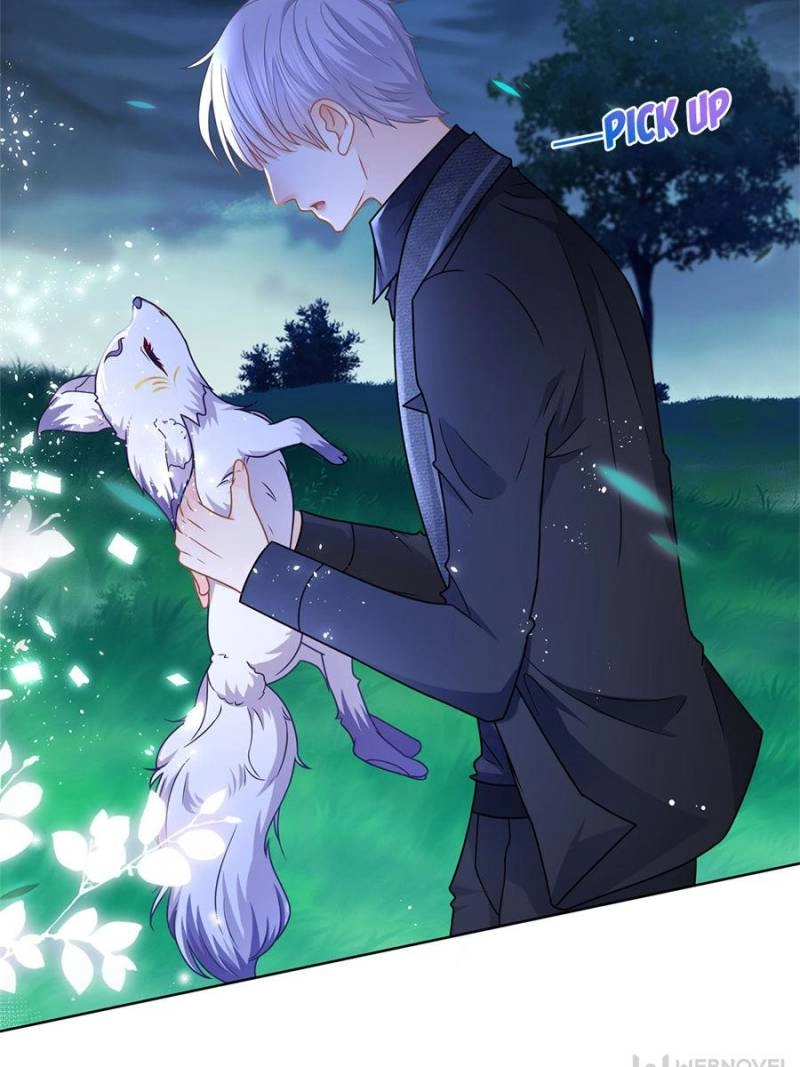 The Killer Boss is raising a Fox chapter 111 page 8