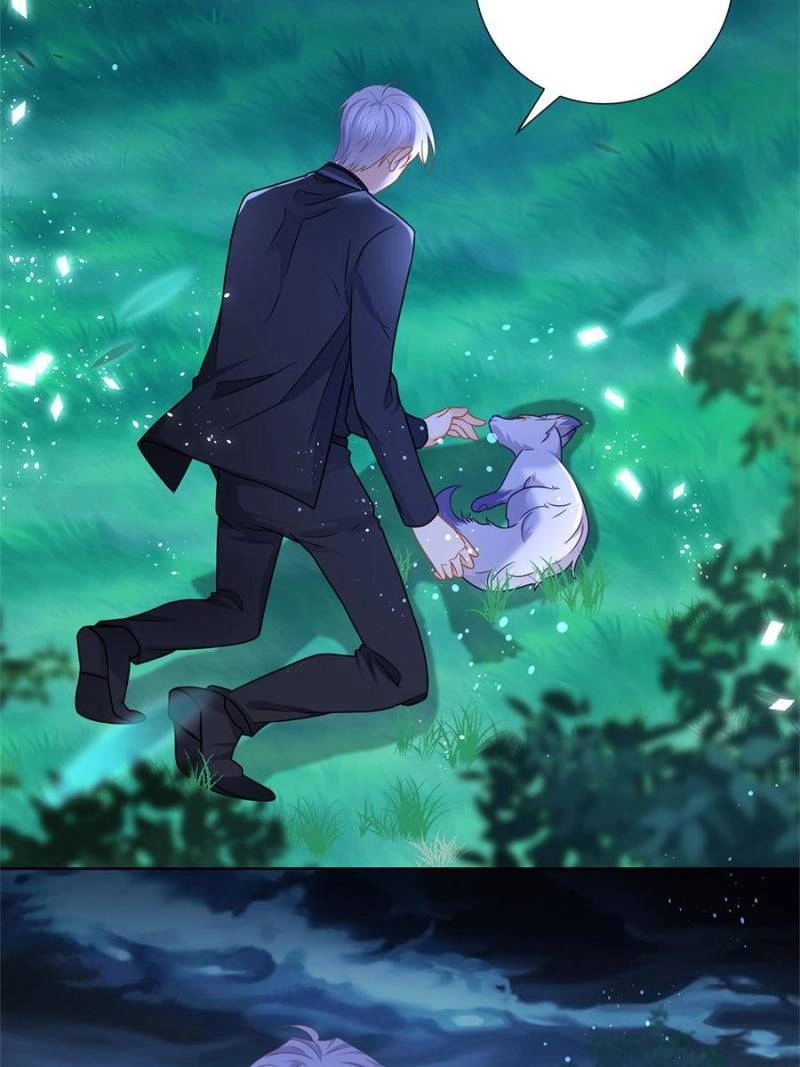 The Killer Boss is raising a Fox chapter 111 page 7