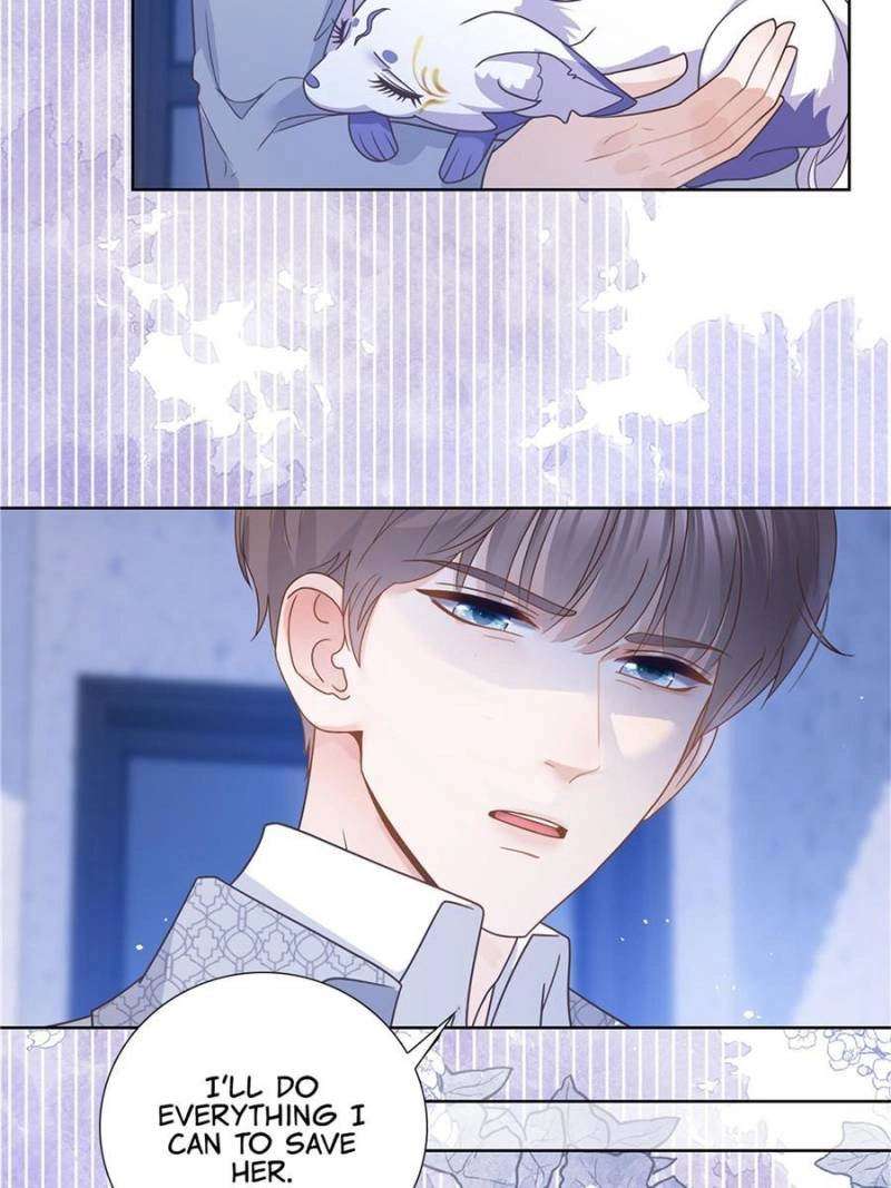 The Killer Boss is raising a Fox chapter 112 page 6