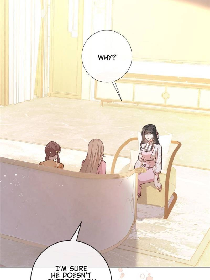The Killer Boss is raising a Fox chapter 118 page 27