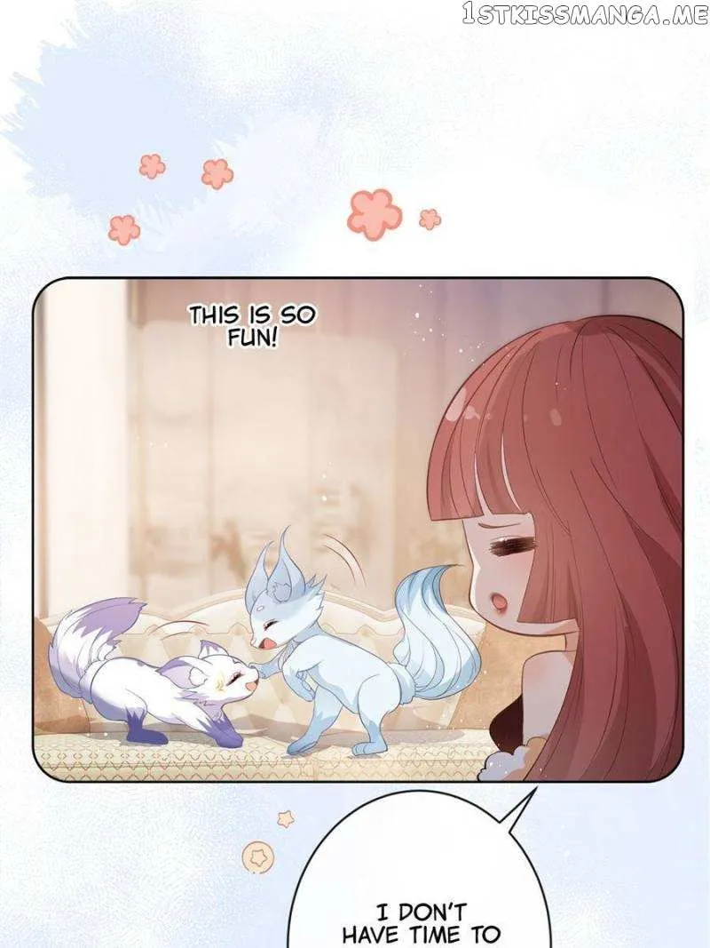 The Killer Boss is raising a Fox chapter 69 page 6