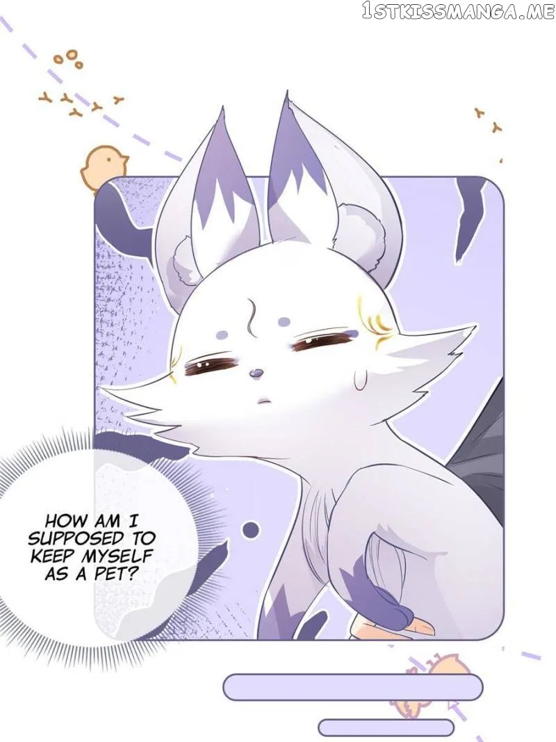 The Killer Boss is raising a Fox chapter 70 page 25