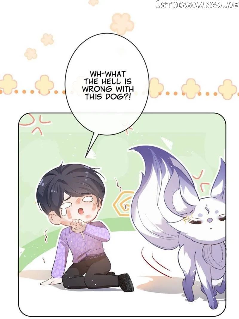 The Killer Boss is raising a Fox chapter 71 page 25