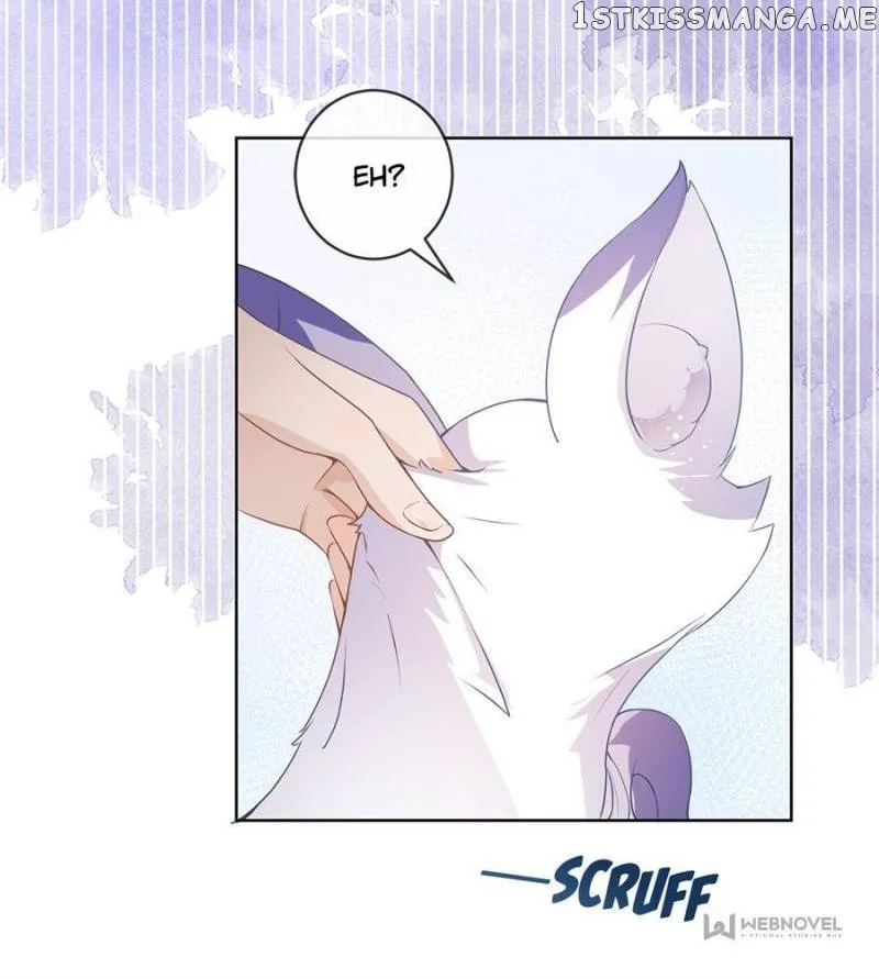 The Killer Boss is raising a Fox chapter 72 page 38