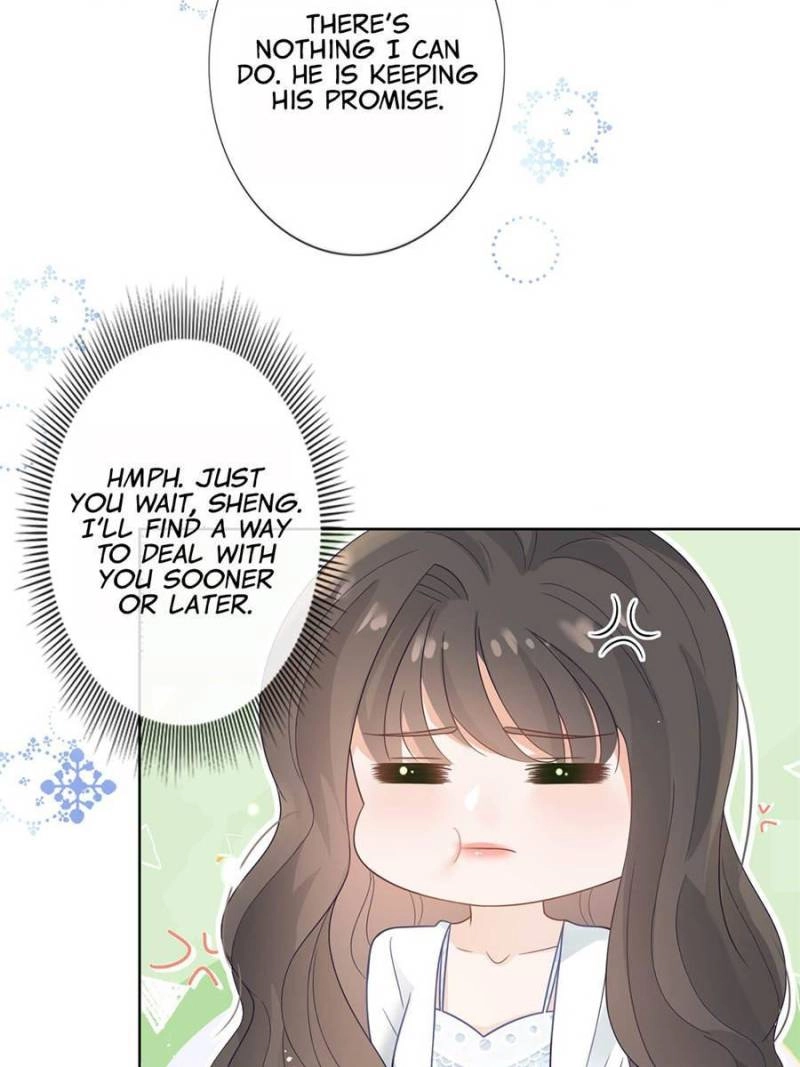 The Killer Boss is raising a Fox chapter 95 page 7