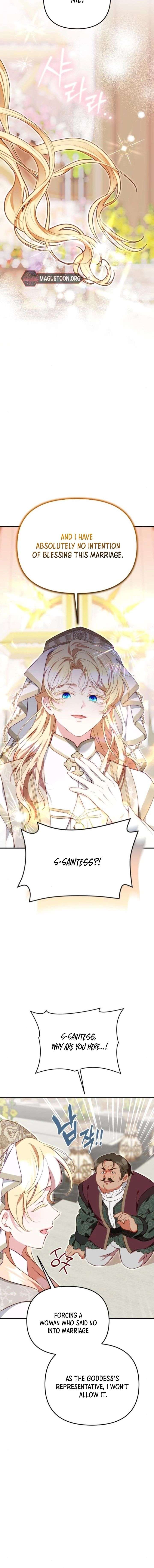 Protect the Fake Saint! chapter 23 page 17