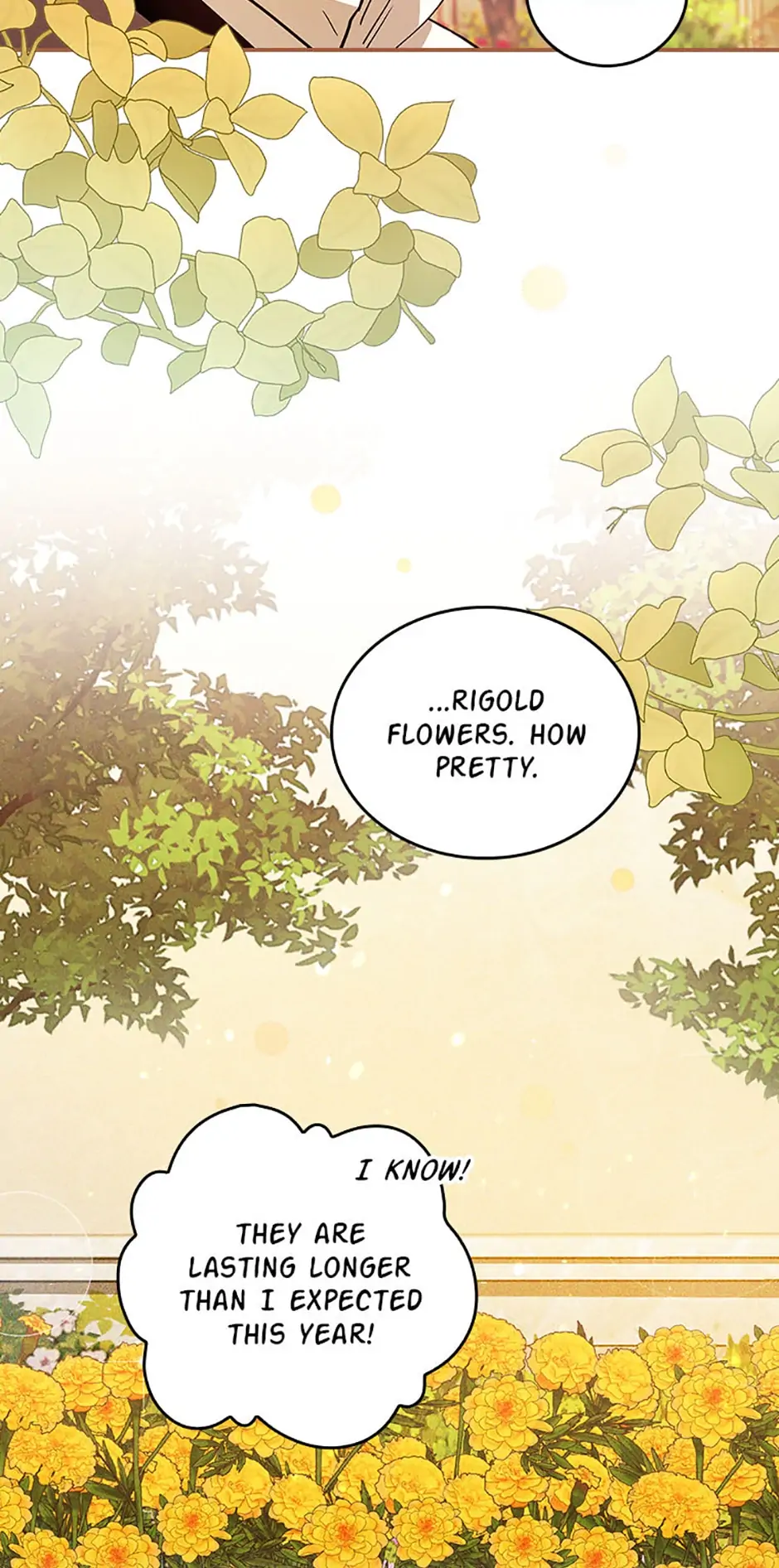 Run Maelle chapter 17 page 66