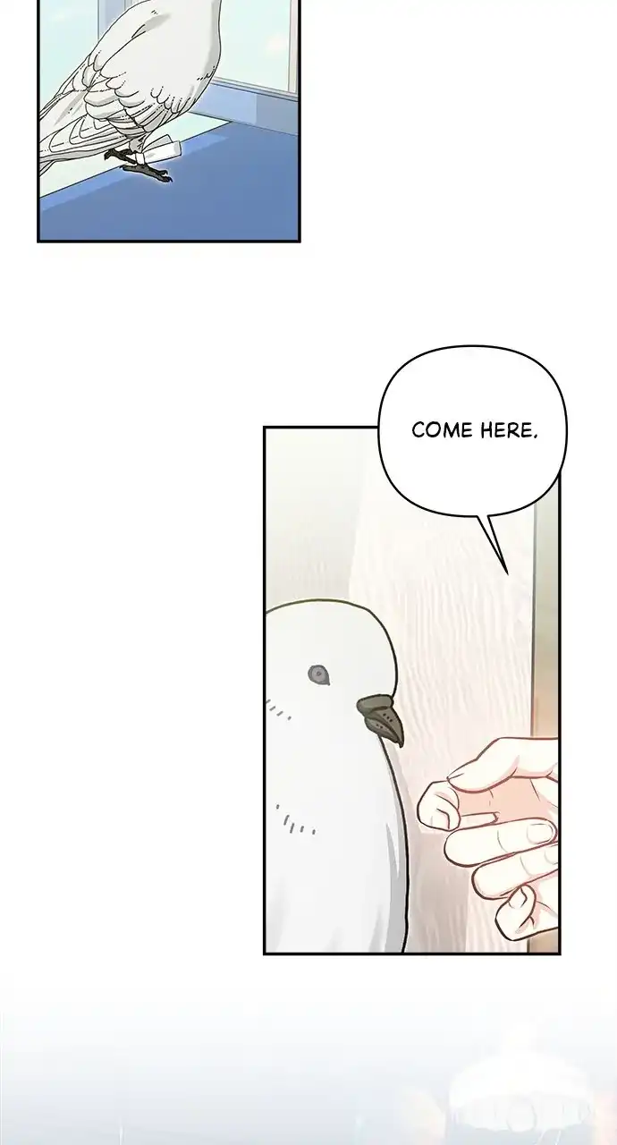 Monster Duke’s Daughter chapter 132 page 69