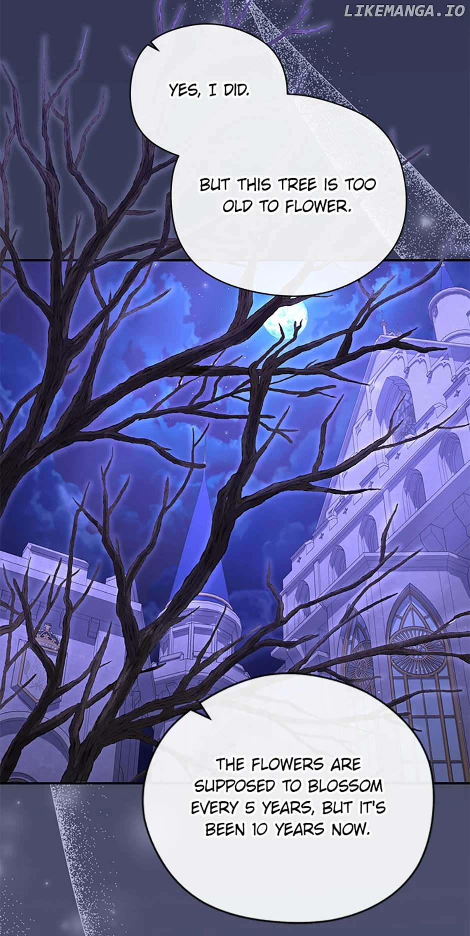 The Blooming Violet in the Back Garden chapter 31 page 51