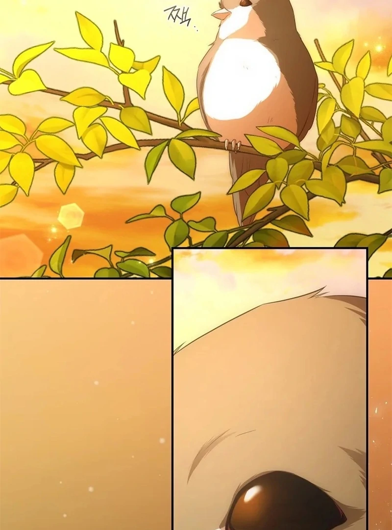The Blooming Violet in the Back Garden chapter 77 page 63