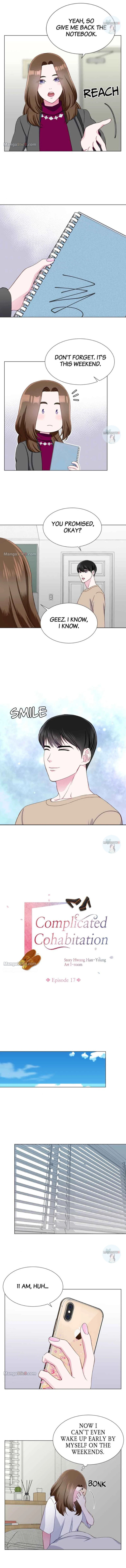 Complicated Cohabitation chapter 17 page 2