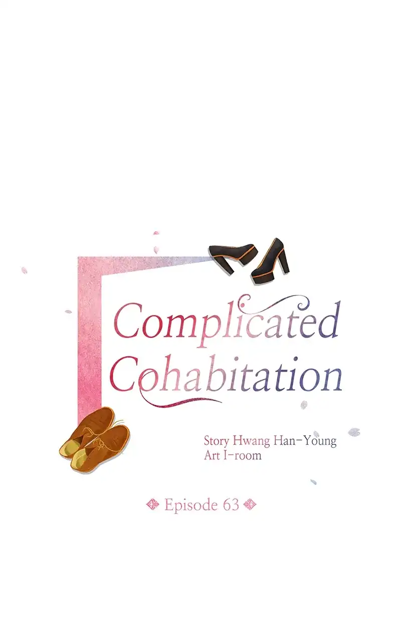 Complicated Cohabitation chapter 63 page 17