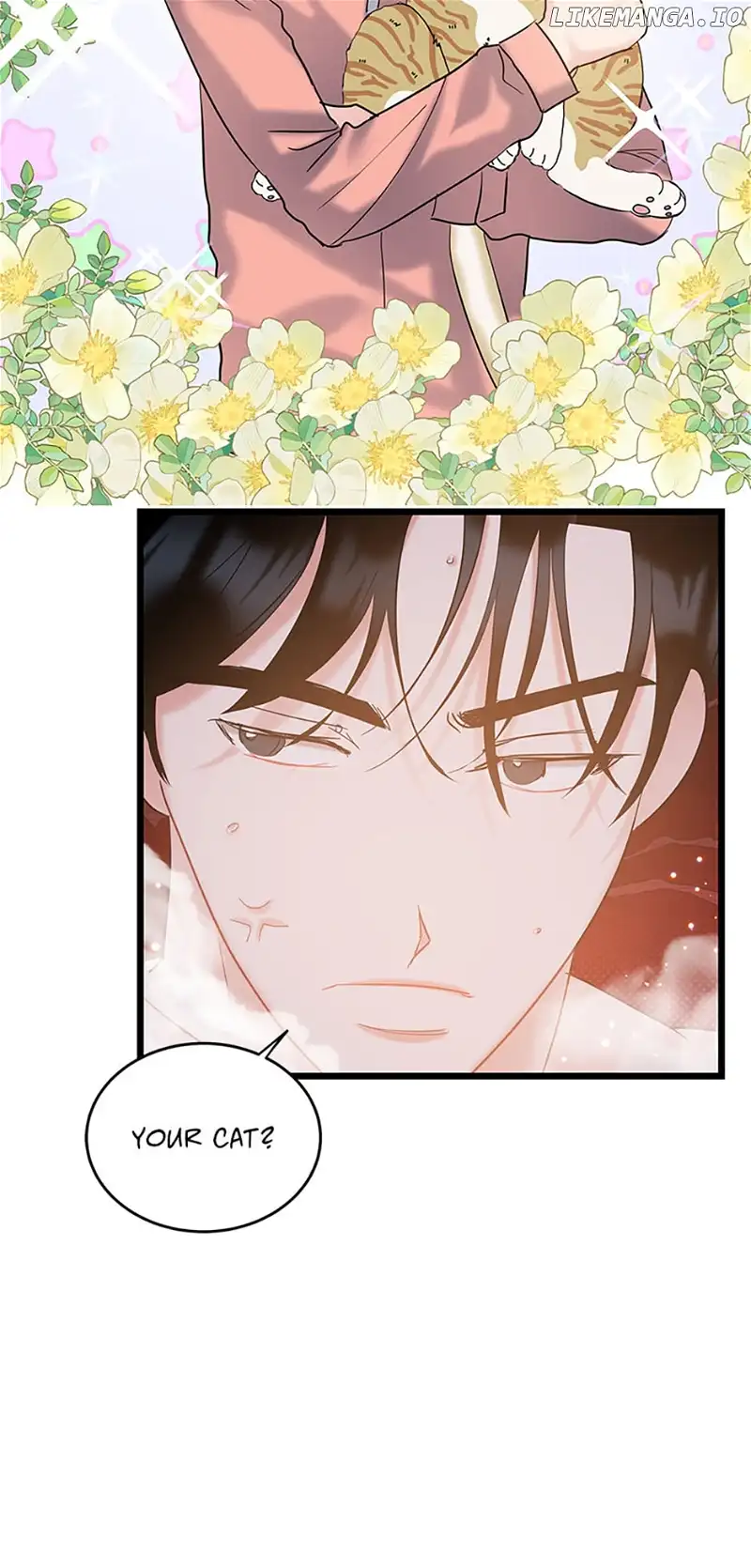 The Dignity Of Romance chapter 71 page 19