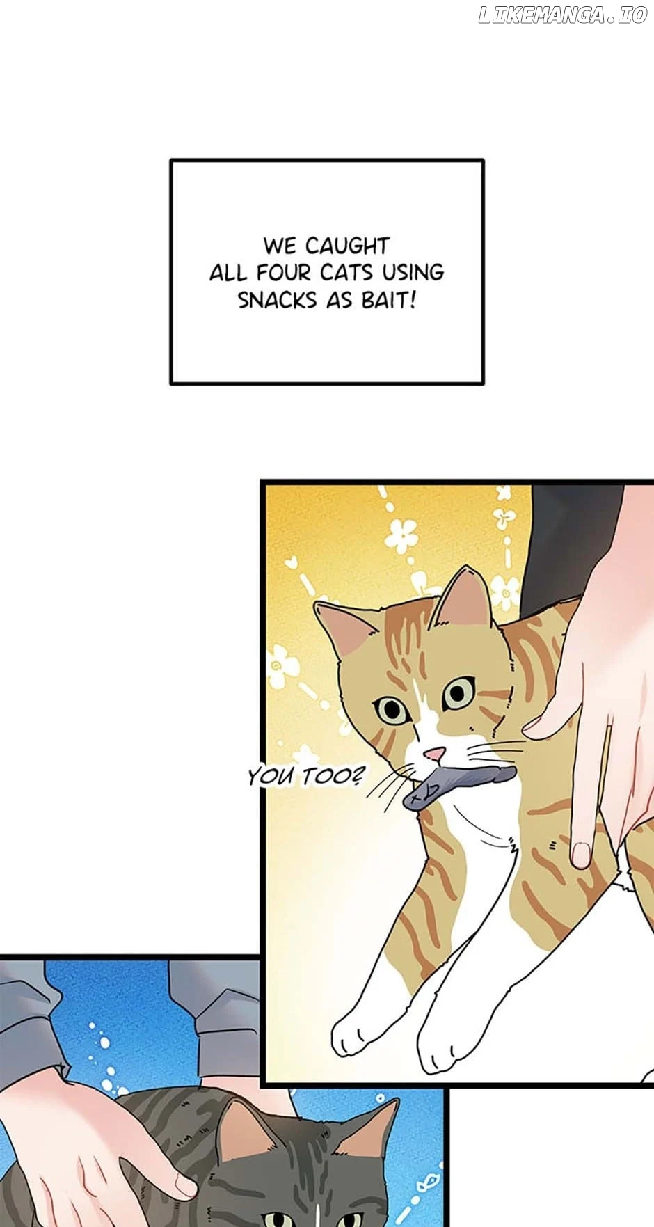 The Dignity Of Romance chapter 81 page 8