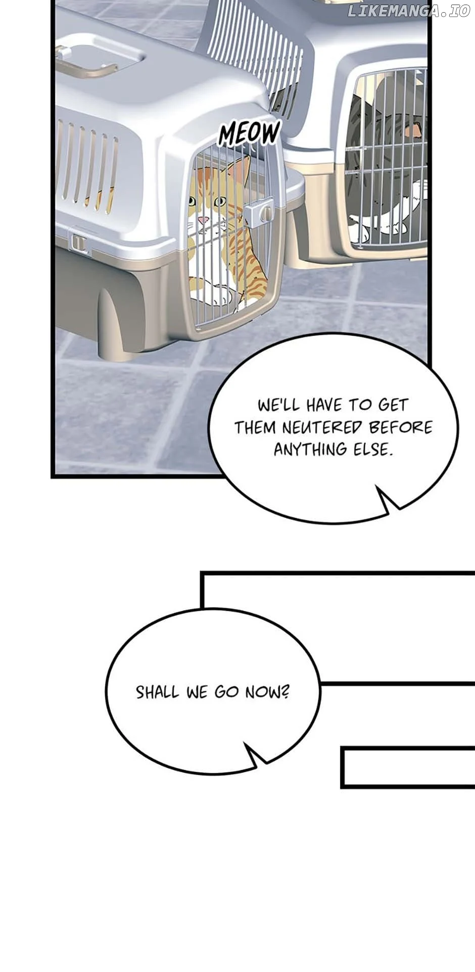The Dignity Of Romance chapter 81 page 17