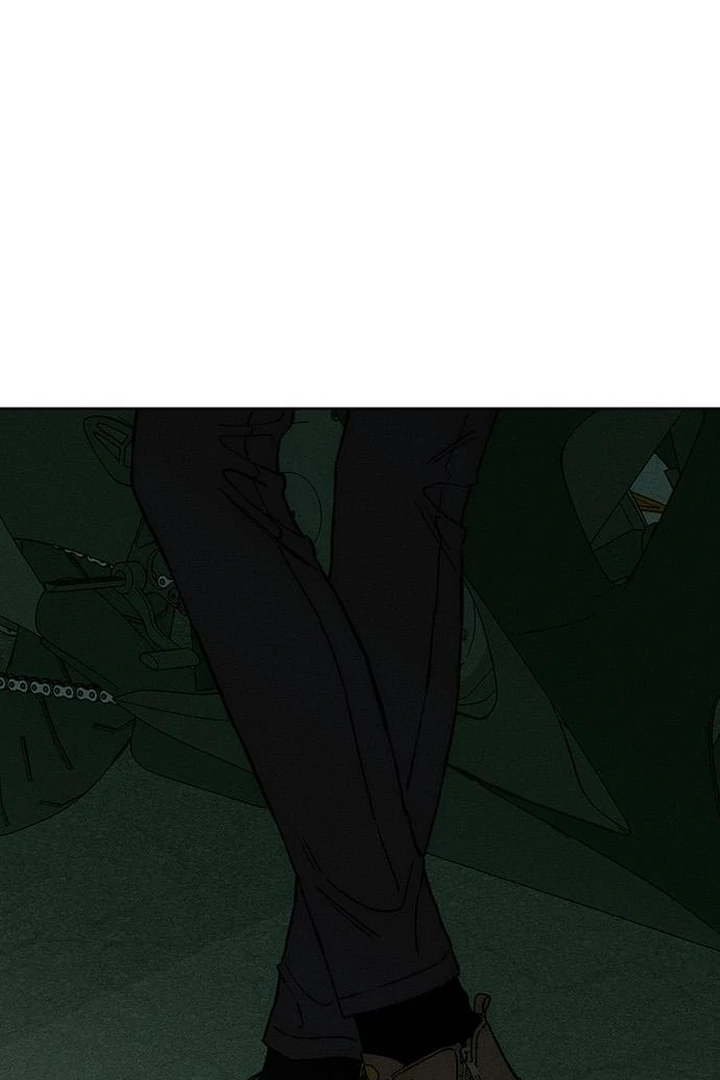 Tears on a Withered Flower chapter 70 page 101