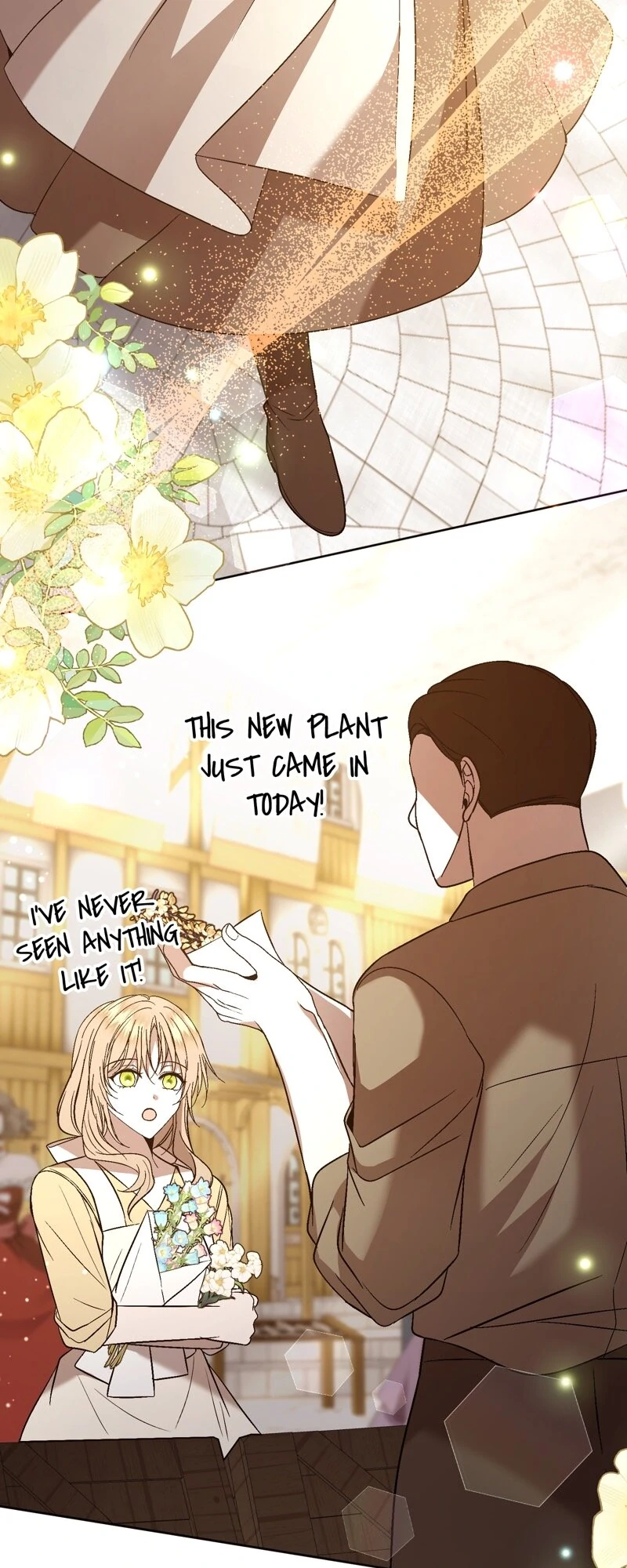 The Handmaiden Dreams at Sunset chapter 54 page 41