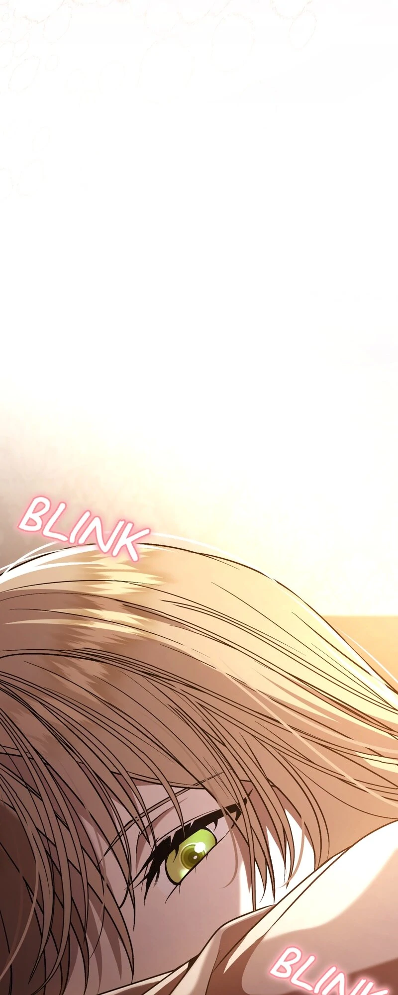 The Handmaiden Dreams at Sunset chapter 66 page 70