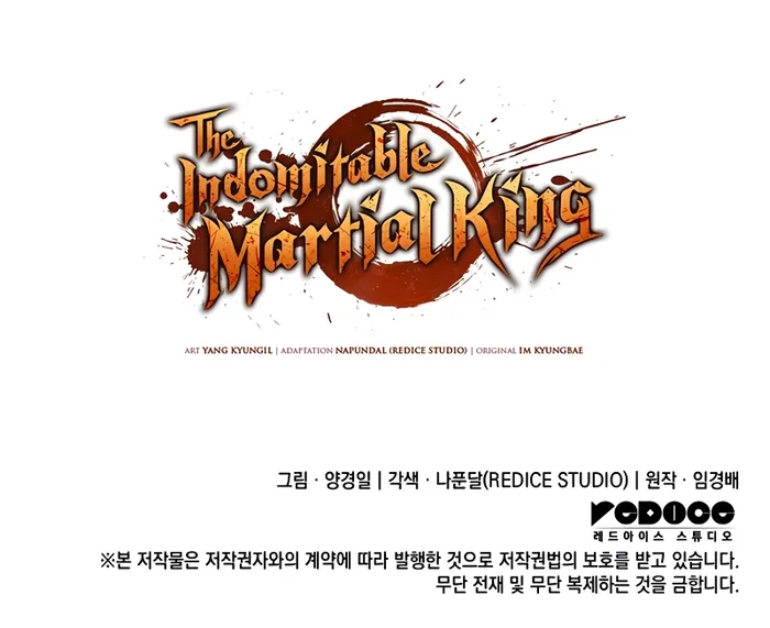 The Indomitable Martial King chapter 47 page 14