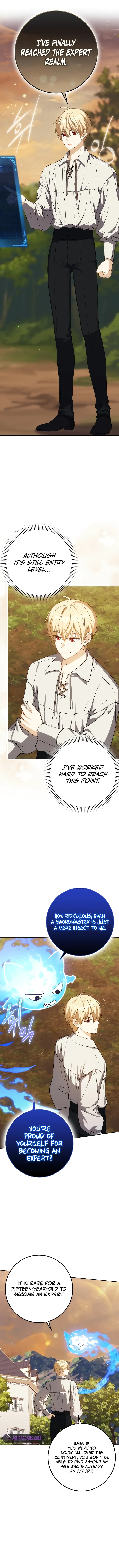The Reincarnated Assassin is a Genius Swordsman chapter 36 page 4