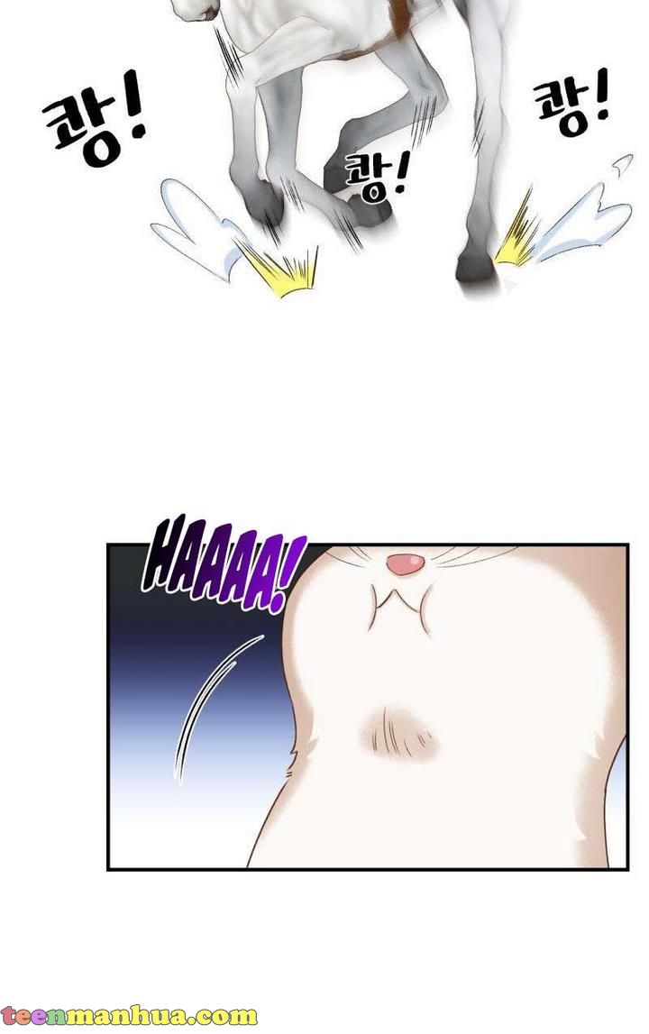 Death to the white ferret weasel chapter 1 page 7
