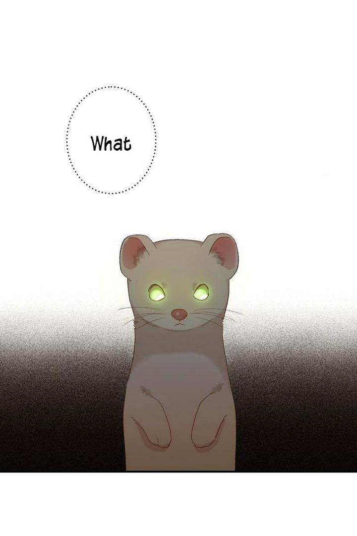 Death to the white ferret weasel chapter 1 page 76