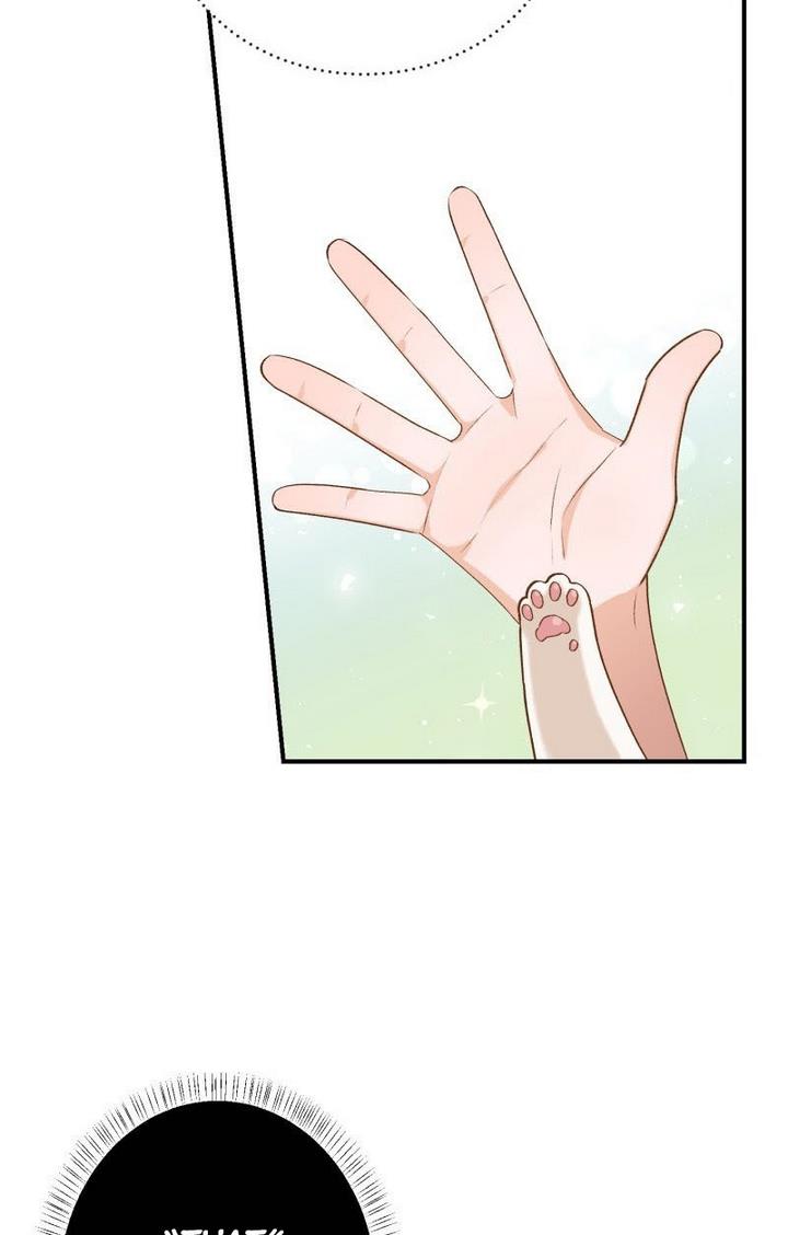 Death to the white ferret weasel chapter 10 page 3