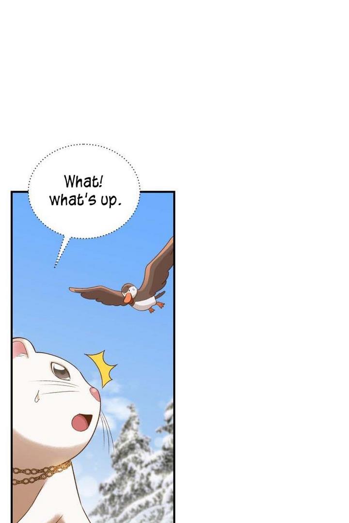 Death to the white ferret weasel chapter 13 page 13