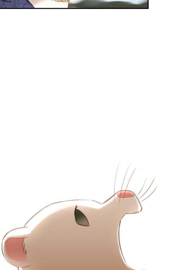 Death to the white ferret weasel chapter 13 page 42
