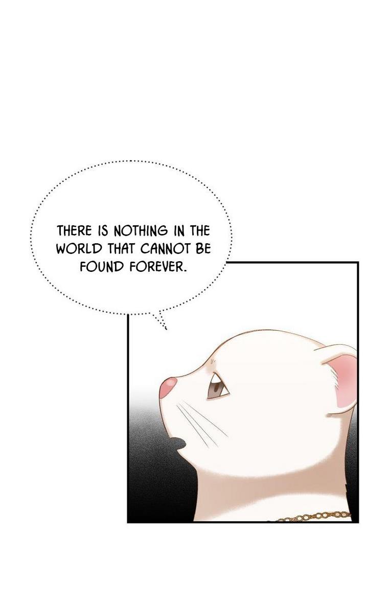 Death to the white ferret weasel chapter 16 page 36