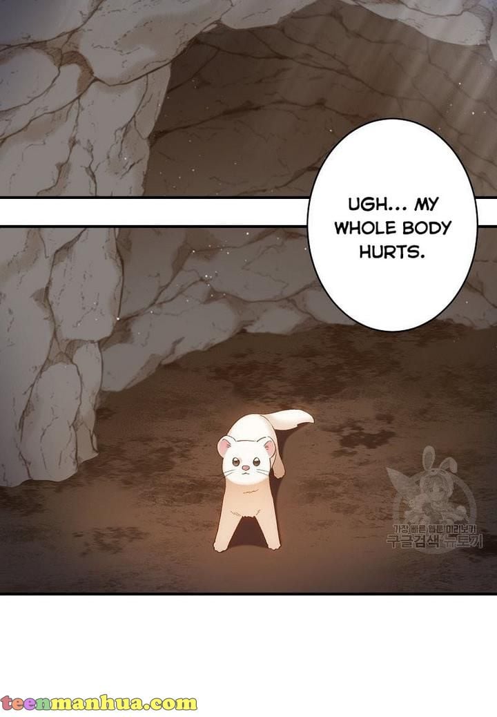 Death to the white ferret weasel chapter 4 page 13